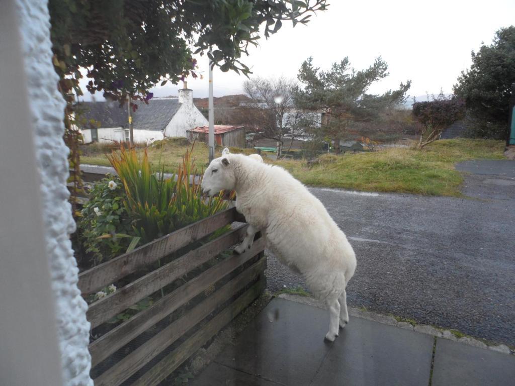 Creag Dubh Bed & Breakfast Kyle of Lochalsh Extérieur photo